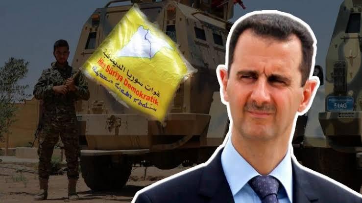 الأسد وقسد التعاون على الضحية