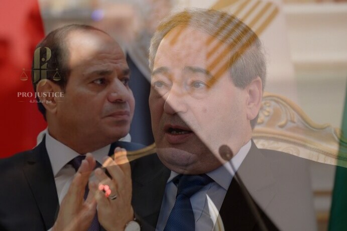 وزير خارجية نظام الاسد يزور مصر في خطوة نحو “استعادة العلاقات”